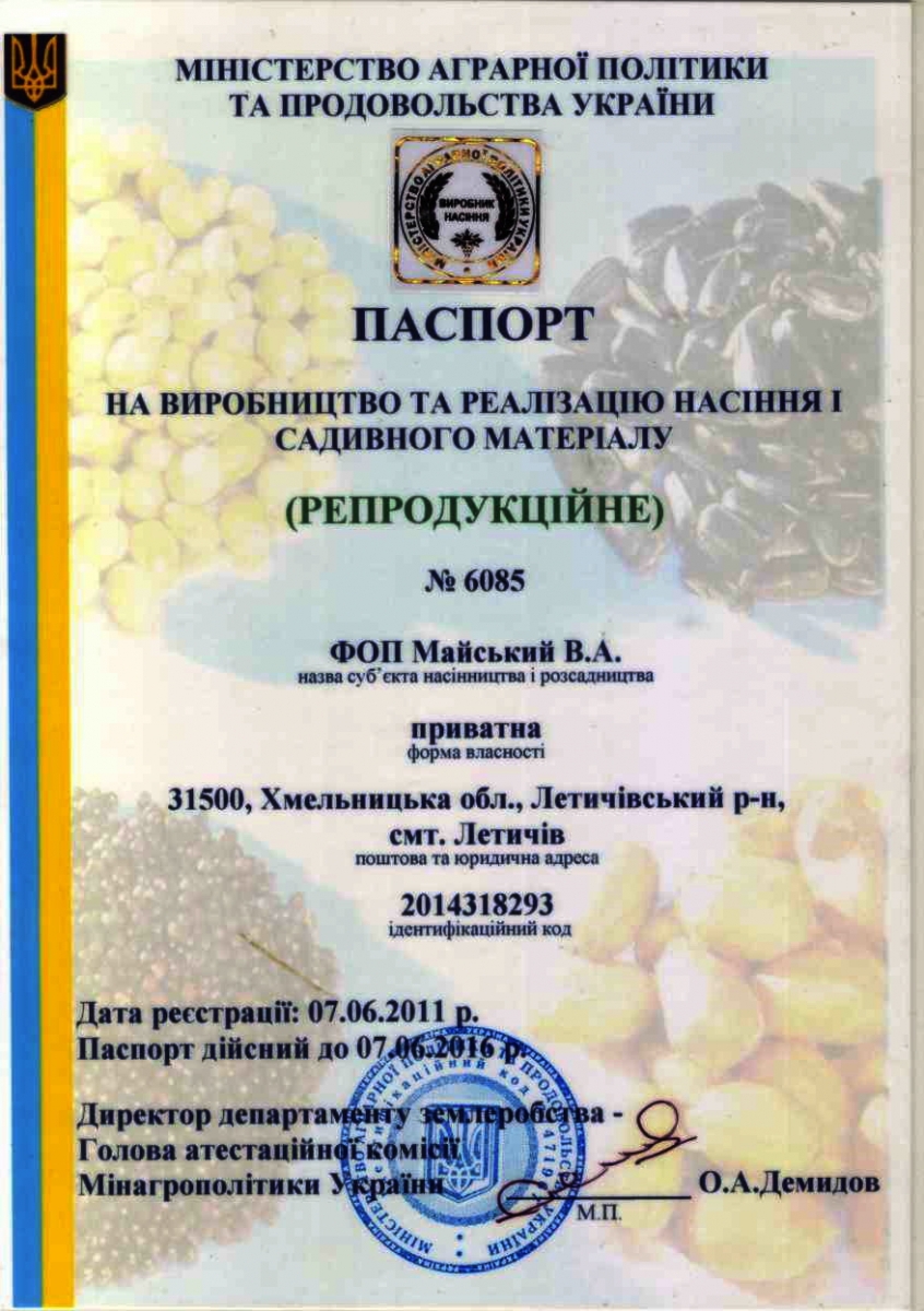 Основні приорітети нашої компанії: